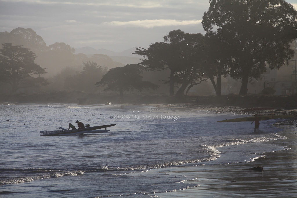 Short Videos About Monterey