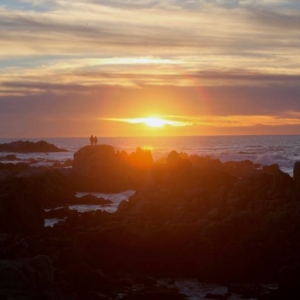 Pacific Grove, California, Central Coast