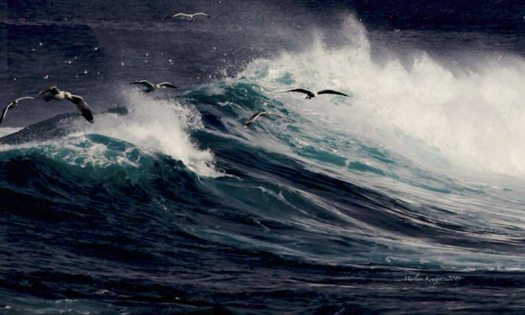 High tides, with seagulls at Monterey, California
