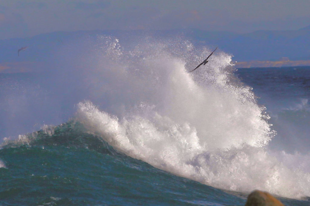 Art by Marlene Krueger