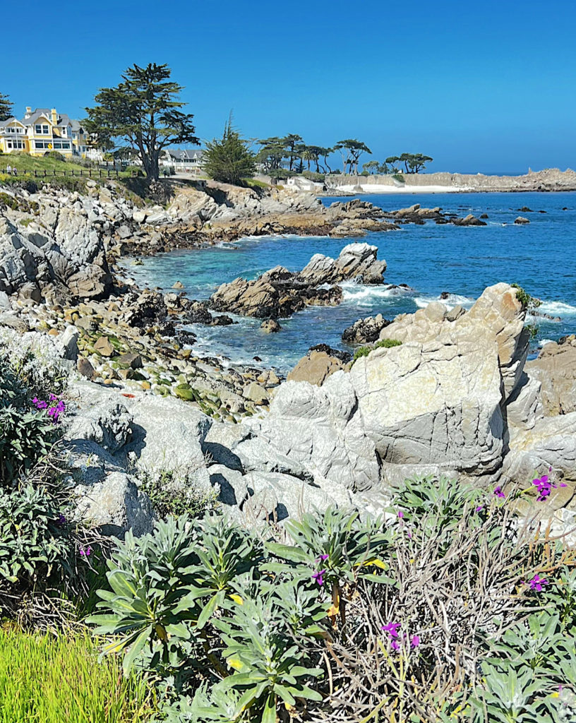 Lover's Point by Marlene Krueger