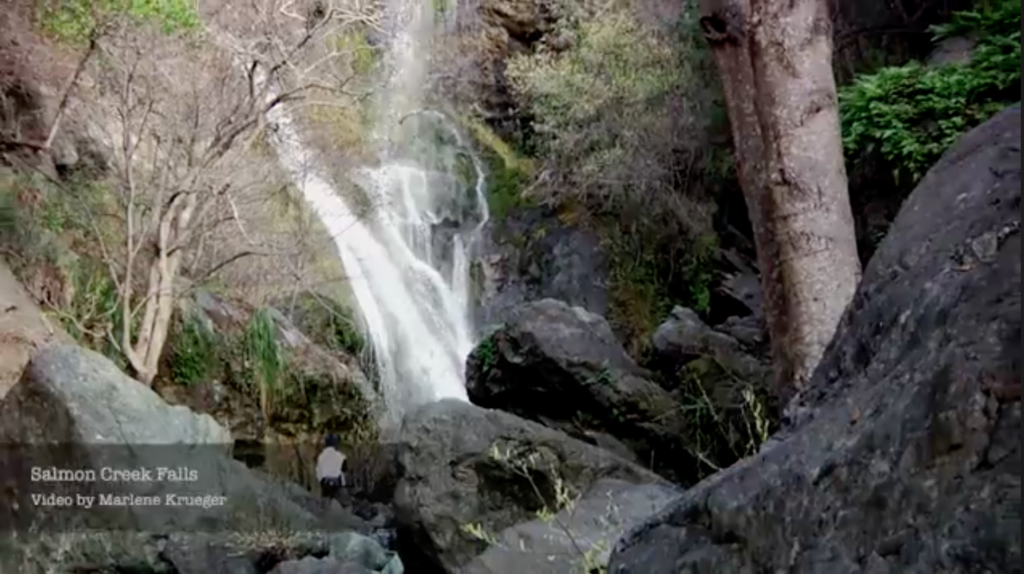 Art by Marlene Krueger