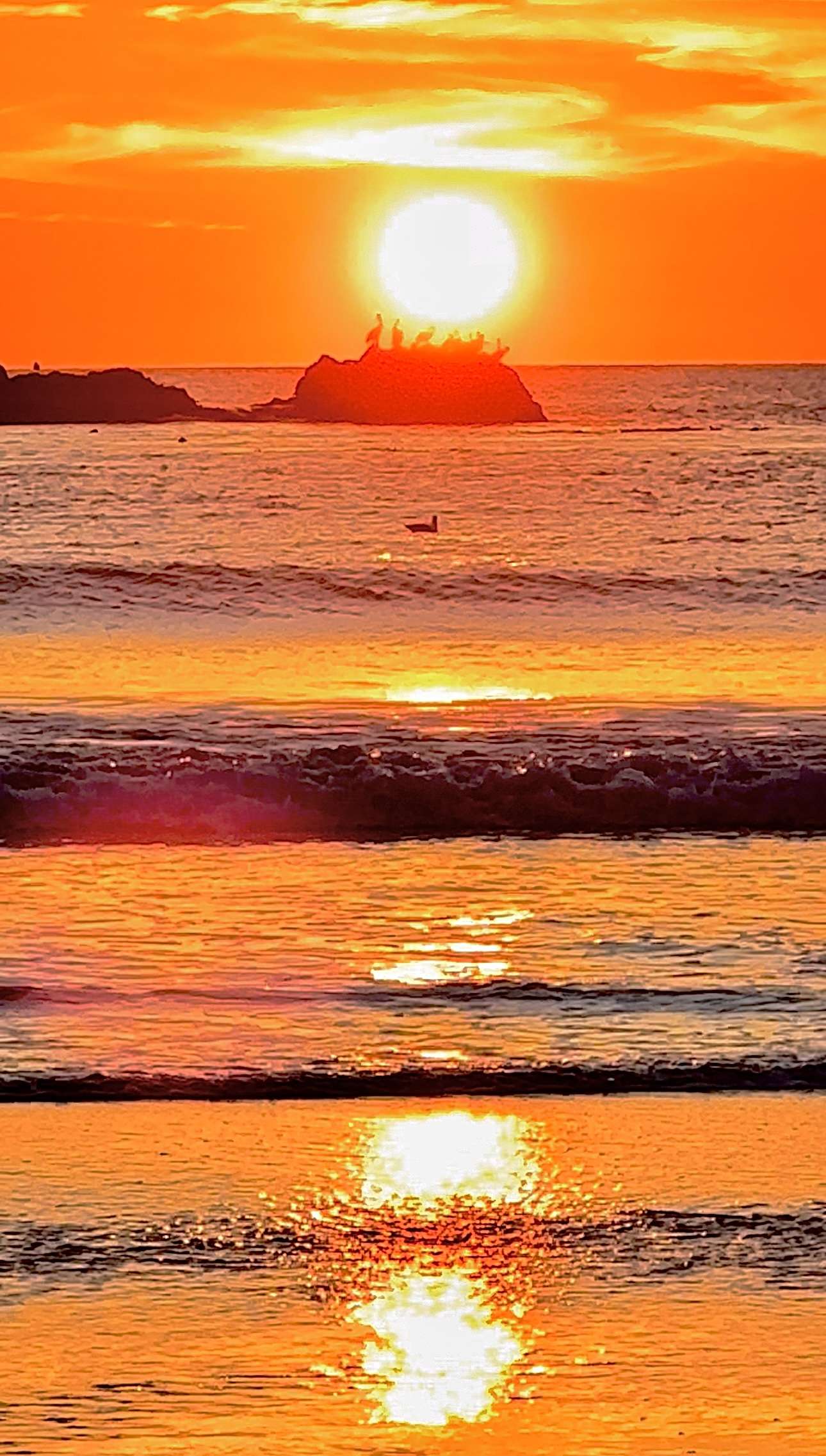 Carmel State Beach welcomes dogs here. But there are still rules. I love it here, I usually do outdoor painting here. Photo by Marlene Krueger