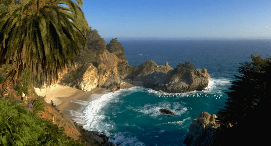 Marlene Krueger sets her camera on the overlook, aiming at a scene with the McWay waterfalls streaming over the turquoise beach on a clear day. Blue skies. There's a palm tree, waterfall over a large rock formation, a cove felled with pebbles, rocks and bushes and boulders.