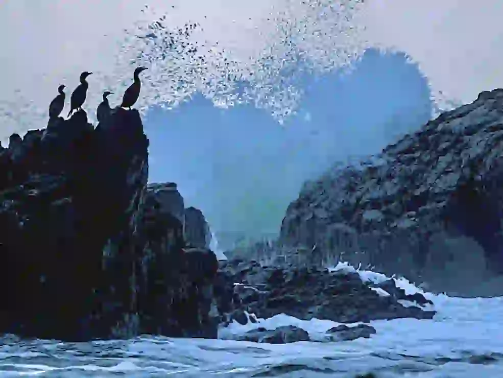 The image is over all darkest teal blue there are 4 silhouettes of cormorants on a huge large boulder darkest black with some highlights as well a triangular boulder on the right side. There's a splash of water above the both boulders, the sky is cloudy, off white more at a faint sunset about to fade color.